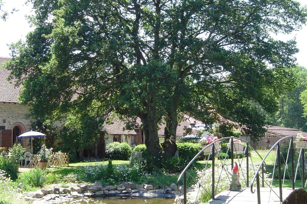 לינה וארוחת בוקר Vouzeron La Petite Ferme מראה חיצוני תמונה